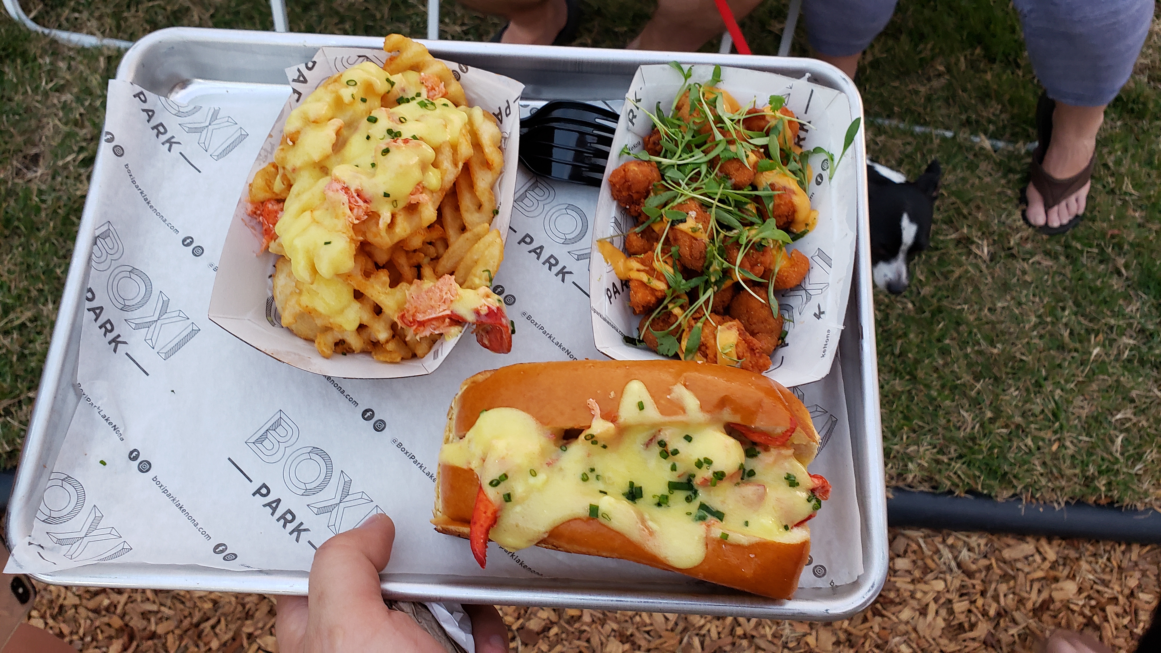 Boxi Park Lake Nona – Orlando, FL
